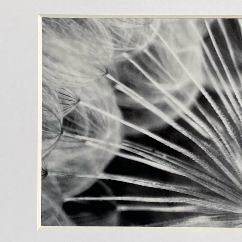 ❌SOLD❌DARK SUBLIME” ~ ORIGINAL ART by ~ @lisamichellebeckerphotography - Picture 7 of 15
